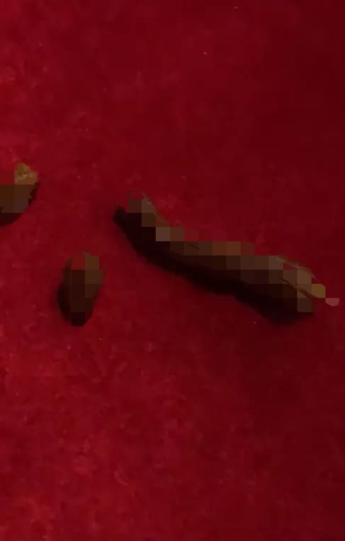 M'sian Shocked To Find Poop Left Behind On Couch At Johor Karaoke Joint