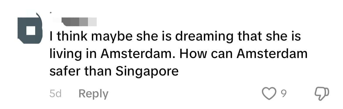 'Too Many Perverts Here' — SG Woman Says She Moved To Amsterdam As She Felt Unsafe comment 1