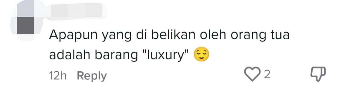 Teen Shows Off Charles & Keith Bag On TikTok, Gets Slammed For Calling It A 'Luxury' Brand comment 2