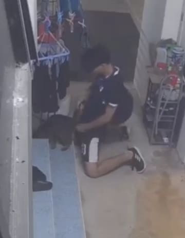 S'porean Teenager Arrested For Humping Cat With His Pants Down