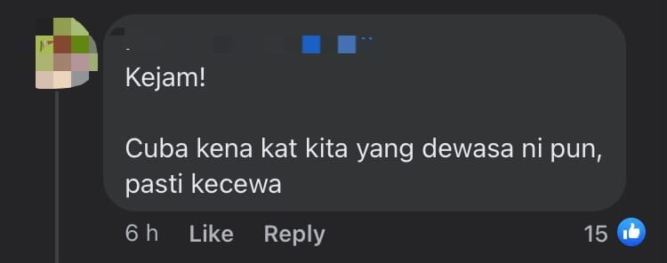 M'sian Teacher Slams Organiser For Tricking Students Into Thinking They Were Having McDonald's Fried Chicken comment 3