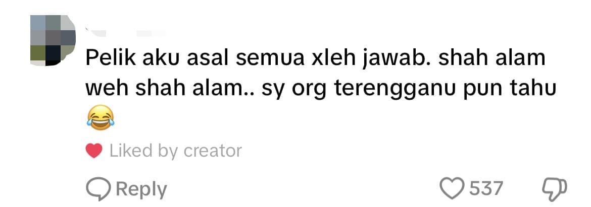 'Painful To Watch' — M'sians Stunned To See Netizens Not Knowing What Selangor's Capital City Is comment 2