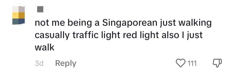 M'sian Girl Stops Herself Before Jaywalking In JB, Jokes That She Has 'Betrayed Her Family & Country' comment 3