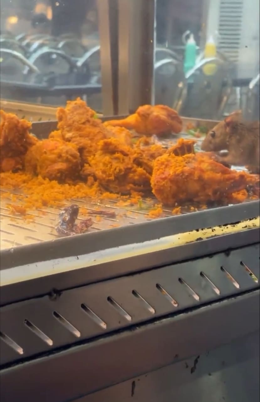 "No More 2nd Time" — Clip Of Rat Devouring Fried Chicken At Mamak Sickens M'sians