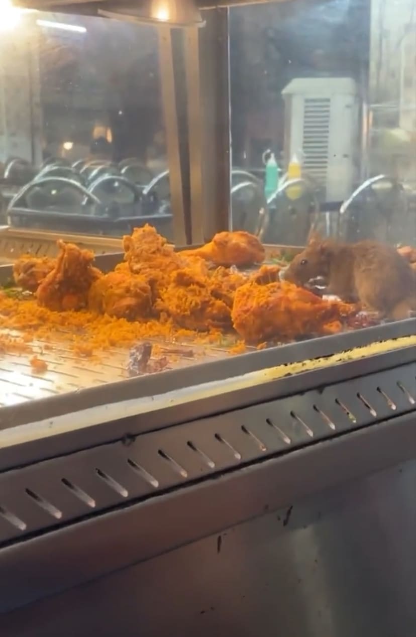 "No More 2nd Time" — Clip Of Rat Devouring Fried Chicken At Mamak Sickens M'sians