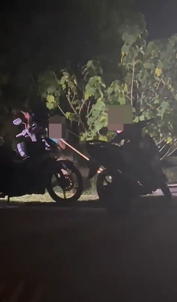 Injured Dog Beaten To Death By 2 Men In Penang After It Got Hit By A Motorcycle