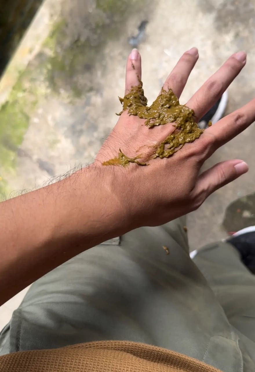 monkey poop on man's hand 