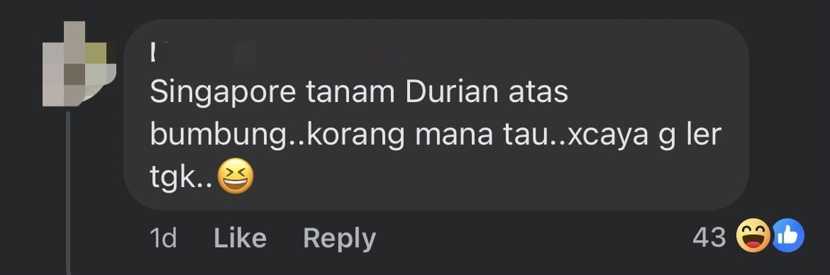 'Did It Grow On The Roof?' — M'sians Mock Poster Which Named Durian As Singapore's National Fruit comment 1
