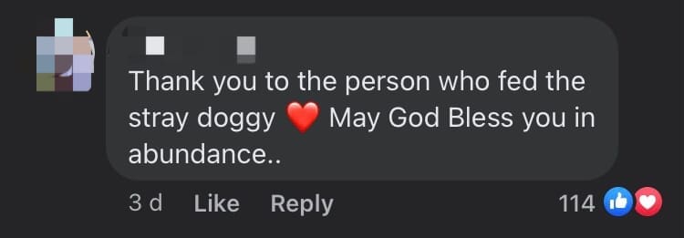 M'sian Woman Praised For Feeding Fried Chicken To Hungry Stray Dog comment 1