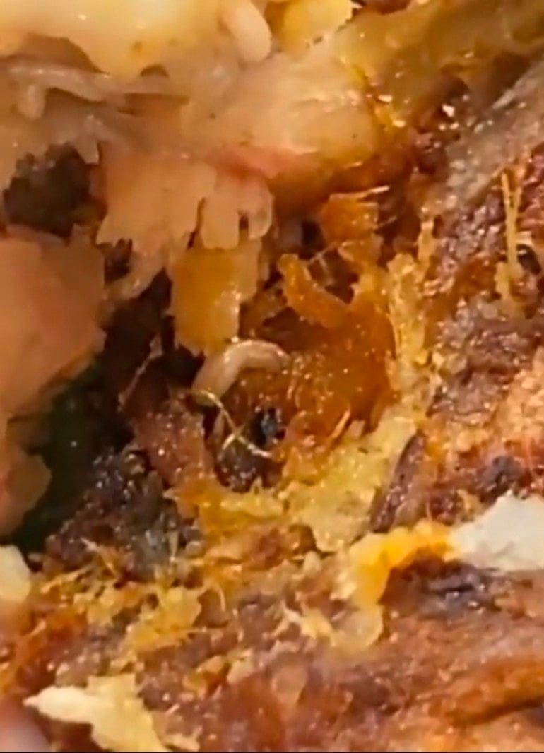 "Boycott Mamaks!" — M'sians Shocked By Clip Of Maggots Found Inside Fried Chicken