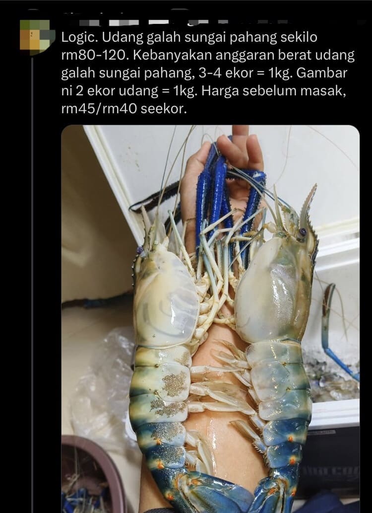 'Is This Logical?' — M'sian Stunned By RM30 Tiger Prawn He Ordered At KL Stall comment 3