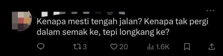 Foreign Woman Poops In Front Of Homestay At Cameron Highlands comment 1