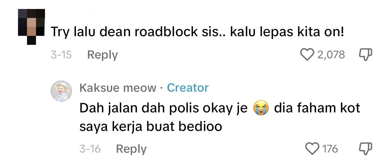 M'sian Woman Takes 6 Hours To Decorate Her Car With Raya Lights And Brings It For A Drive comment 1