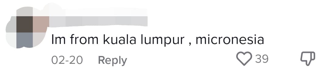 "Salam From Micronesia" — M'sians Troll American Who Mistook Jalur Gemilang As Micronesia comment 3