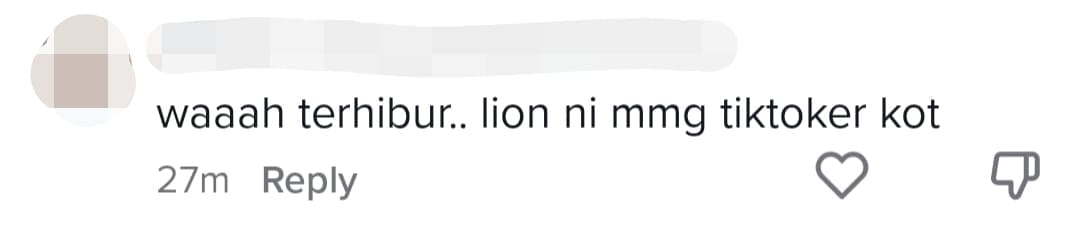 M'sian Lion Dance Troupe Performs Using Trending TikTok Songs, Netizens Amused comment 4