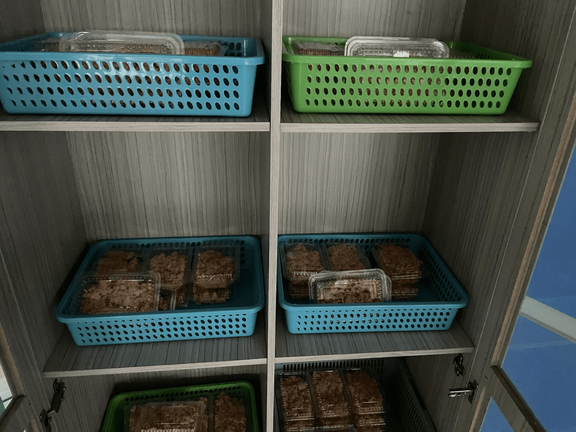 Lecturer puts food in cupboard 1