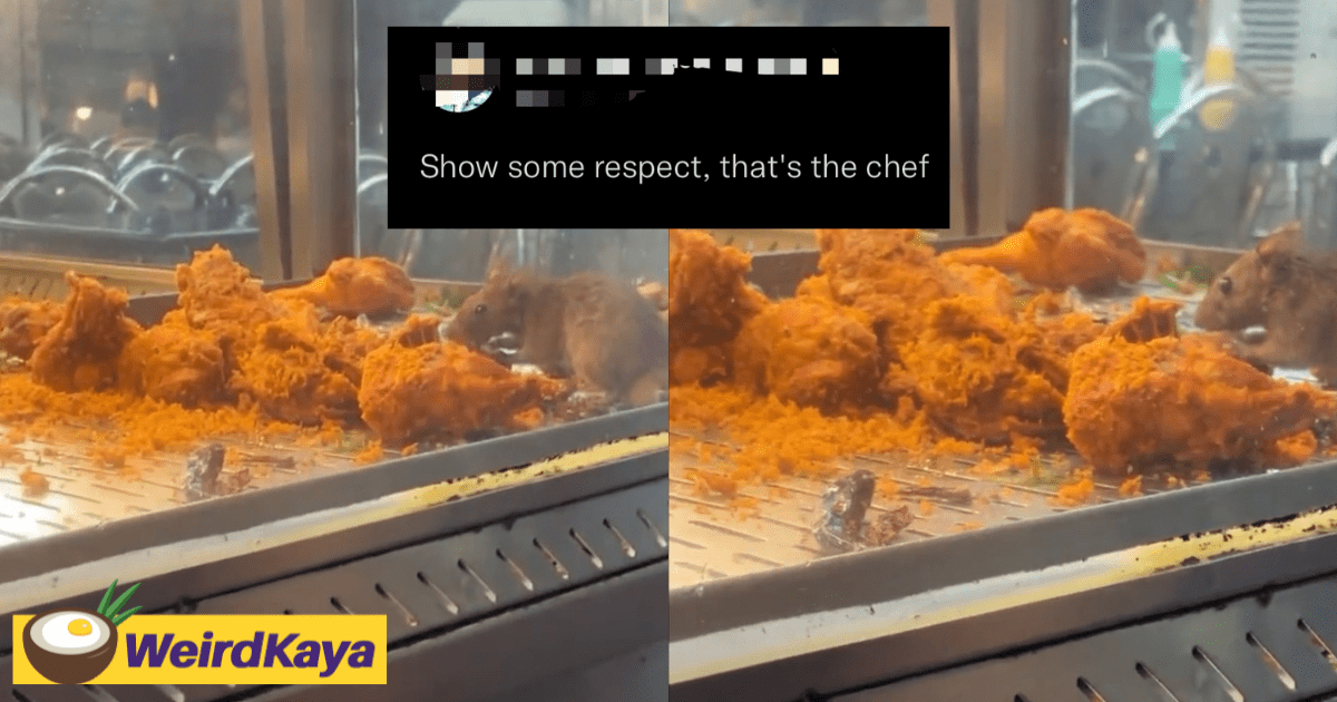 Fat 'Ratatouille' Mouse Caught Devouring Fried Chicken At Mamak, Leaves Netizens Nauseated