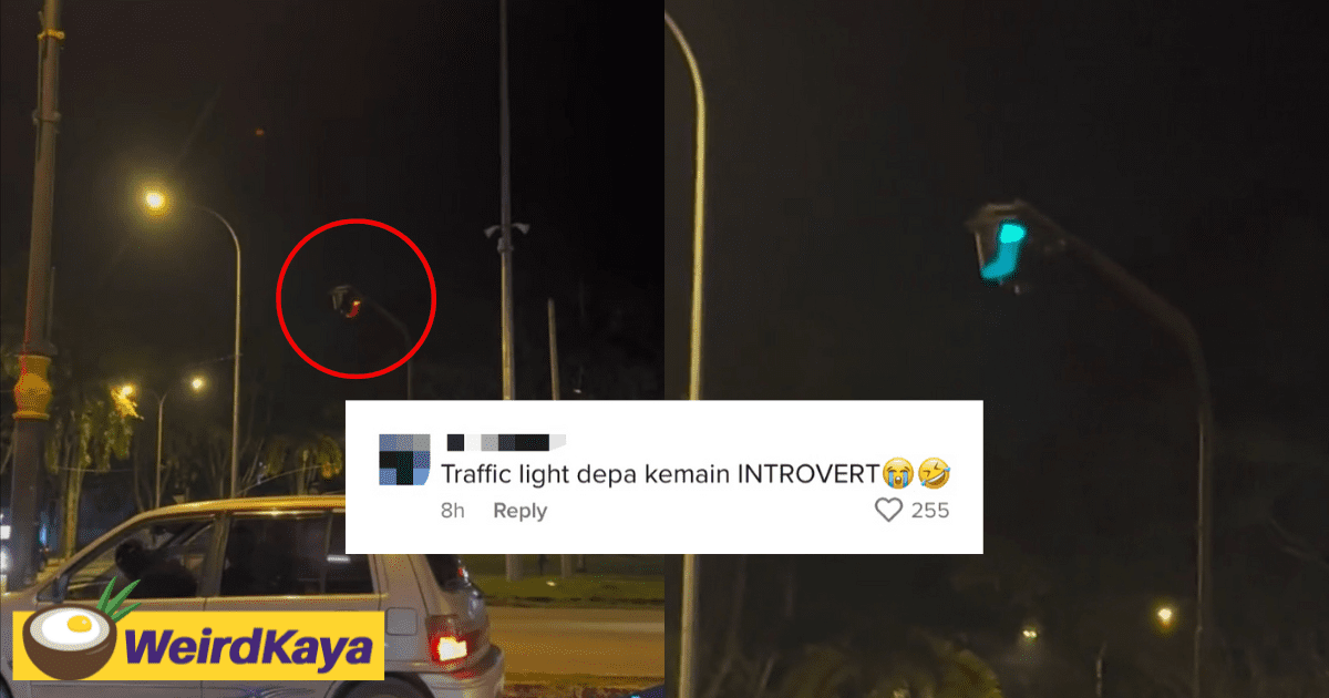 "Who Can See That?"- Traffic Light Points Down To Road Instead Of Drivers, Netizens Amused