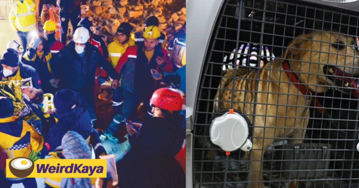 K9 Dog Denti & 4 M'sian Officers Told To Rest Due To Health Problem During Turkey SAR Mission