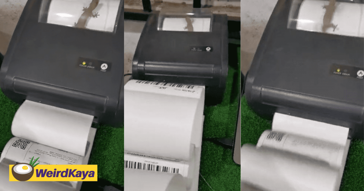 Lizard Gets Trapped Inside Printer And 'Sweats' It Out By Running On Paper Like A Treadmill