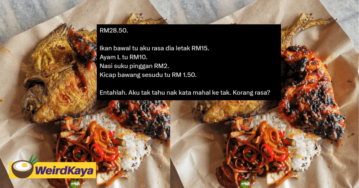 M'sian Expresses Disbelief Over Being Charged RM28 For Economy Rice
