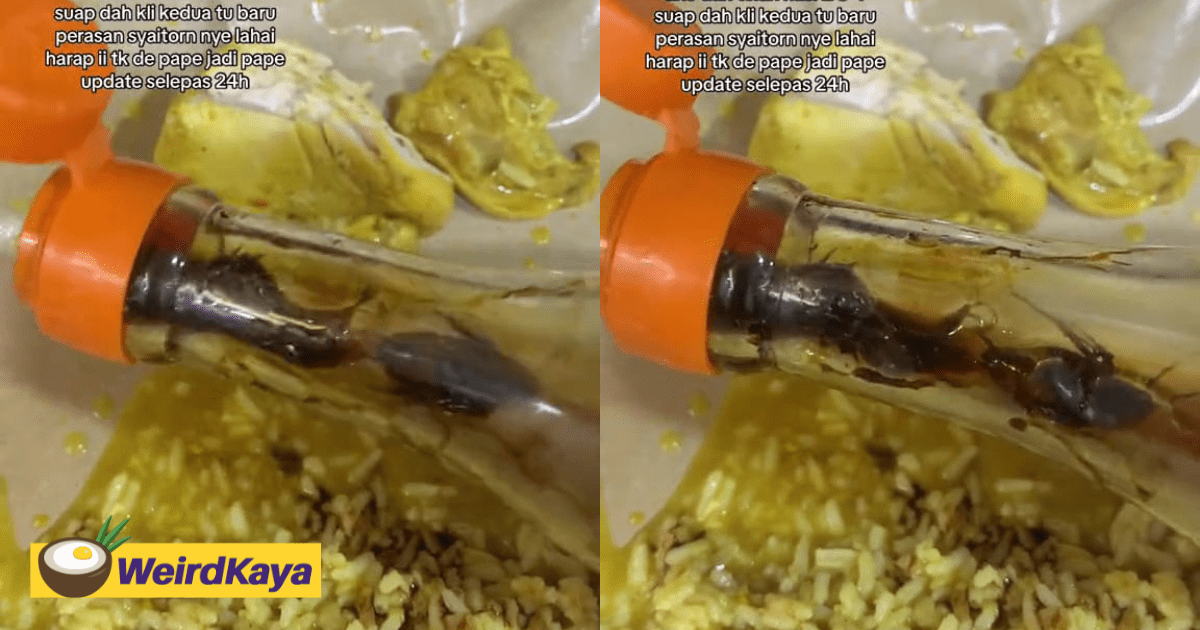 M'sian Woman Horrified To Find 3 Dead Cockroaches Inside Soy Sauce Bottle