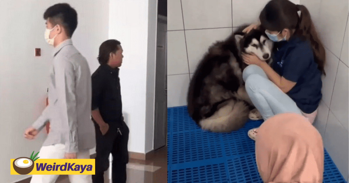 M'sian Badminton Player Fined RM25K For Beating Husky Last Month