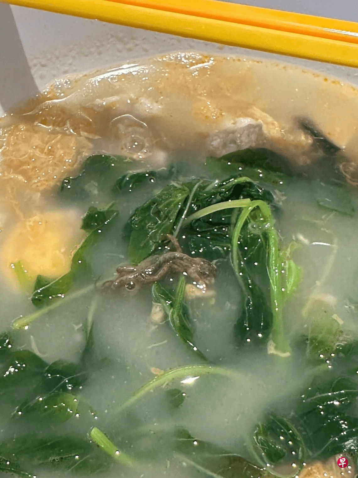 Lizard found inside SG woman's spinach soup