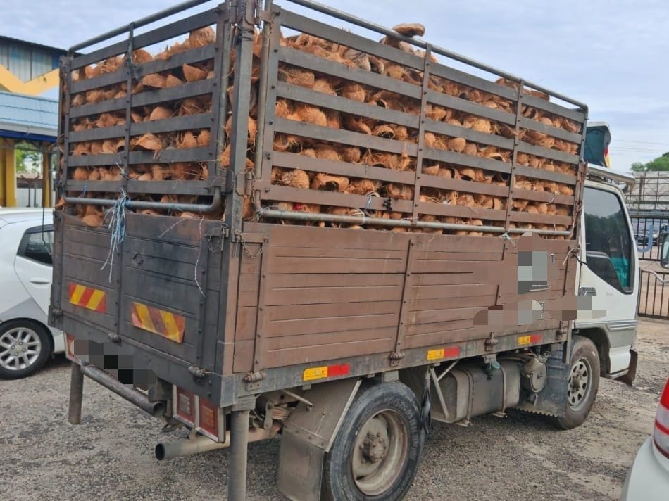 Lorry full of coconut husks in Terengganu