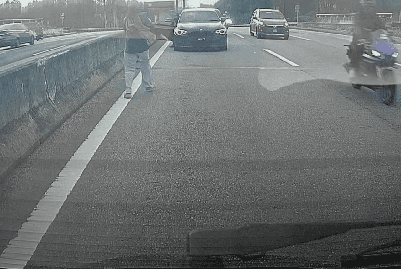 Lost cat along LKSA highway 2