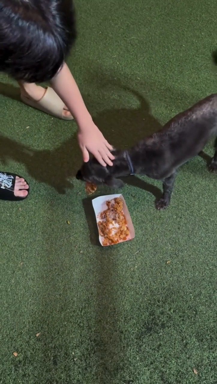 msian creators prank homeless man chicken bones pet dog