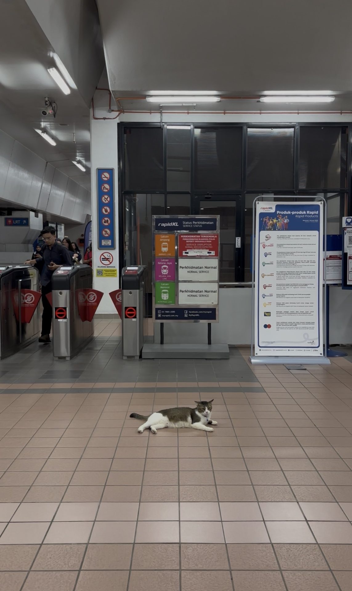 lrt-wangsa-maju-cat-2.jpg
