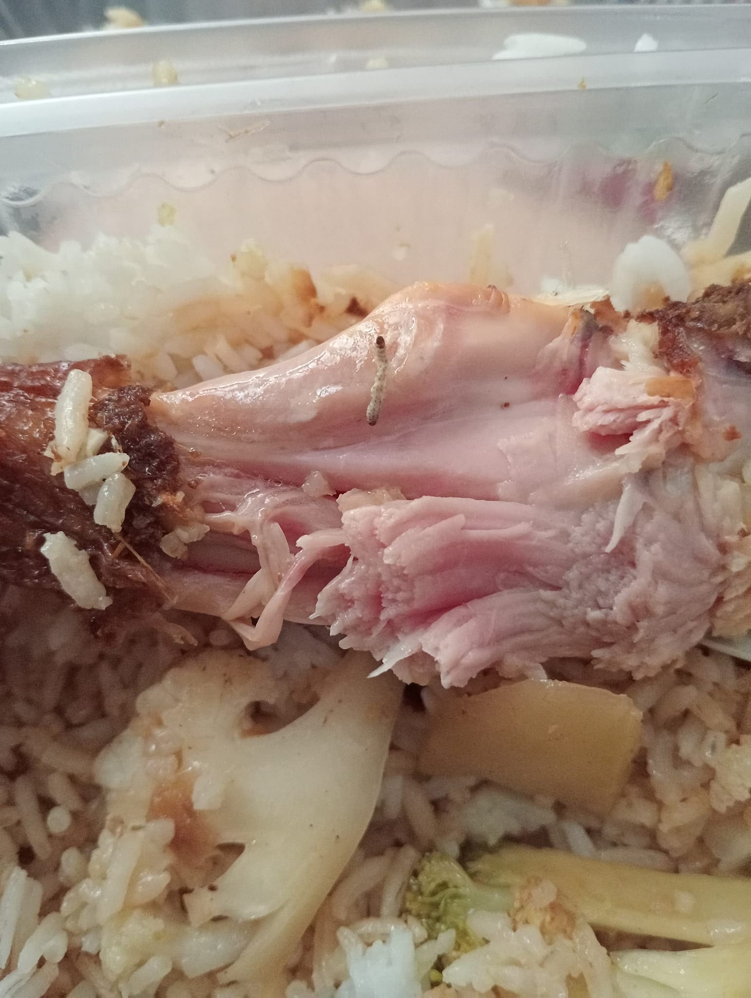 maggot found inside a chicken