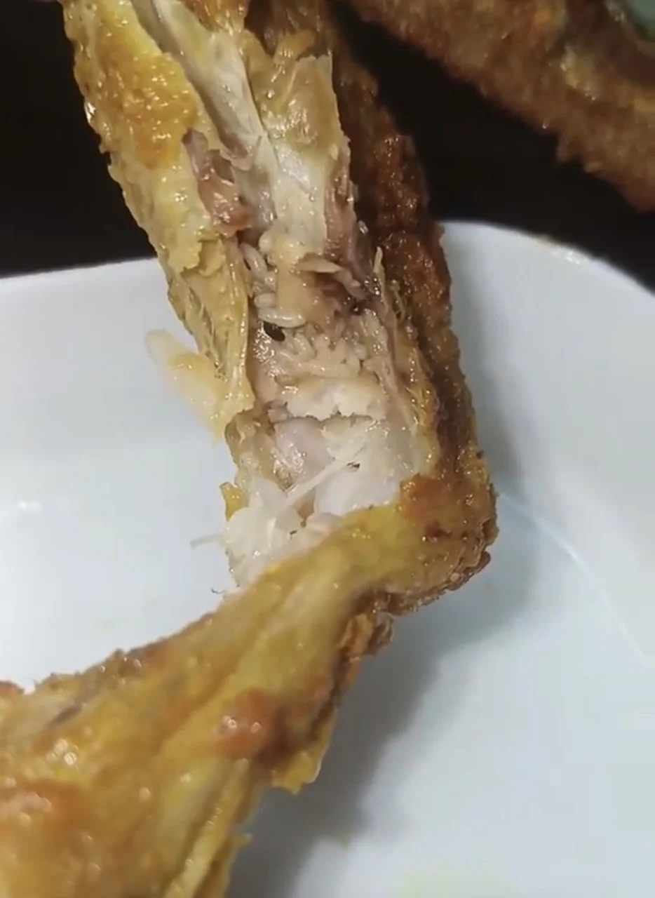 maggots in fried chicken