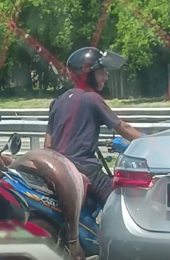 Man carrying big fish with his motor