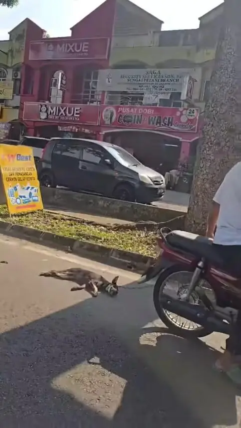 Man confronted for dragging puppy