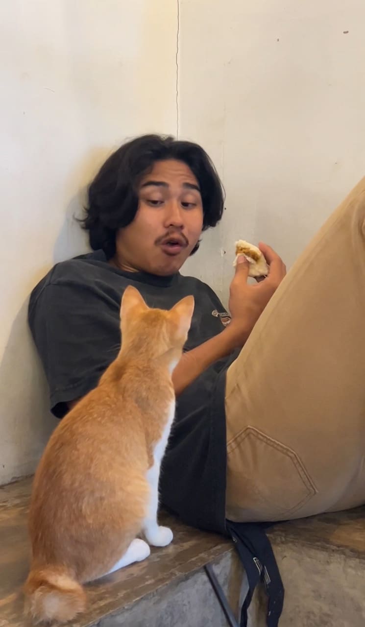 man eating bun while oyen staring at him
