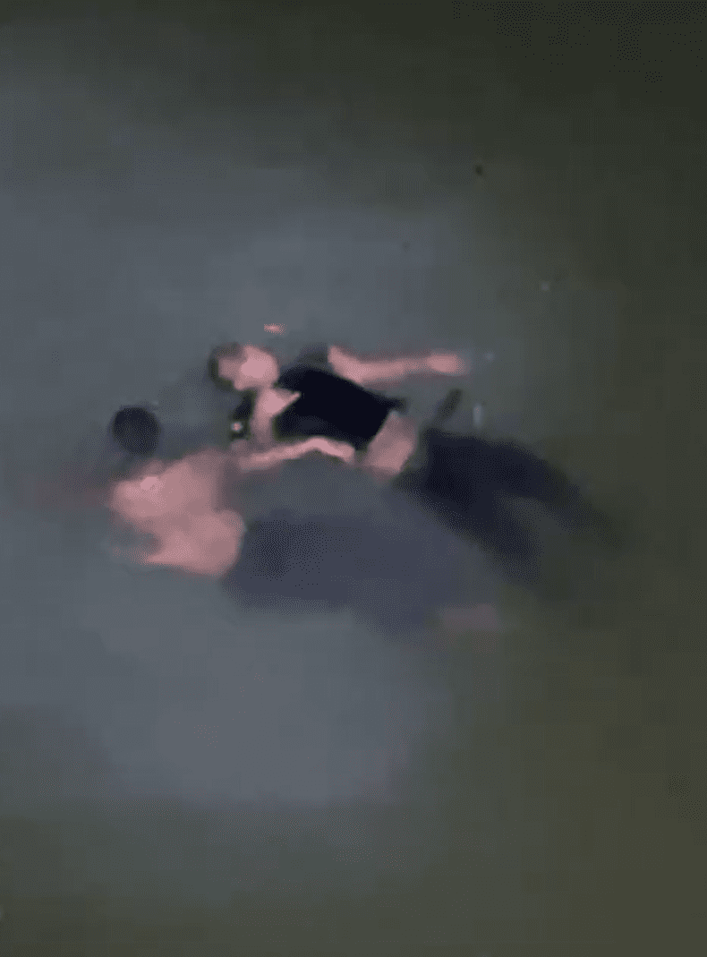 Civilian saves man who fell off Penang Bridge