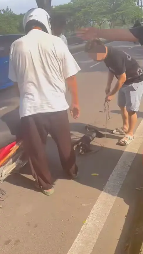Man stopped by passerby for dragging dog