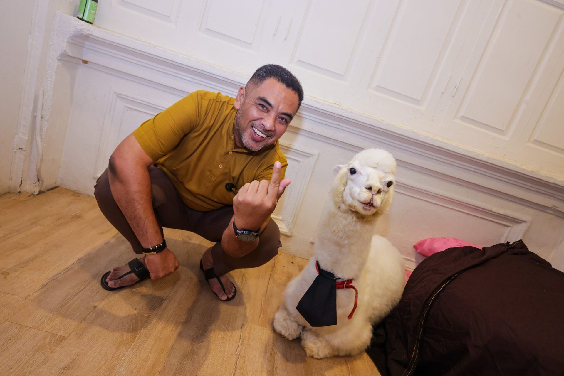 Mohd Helmy with alpaca