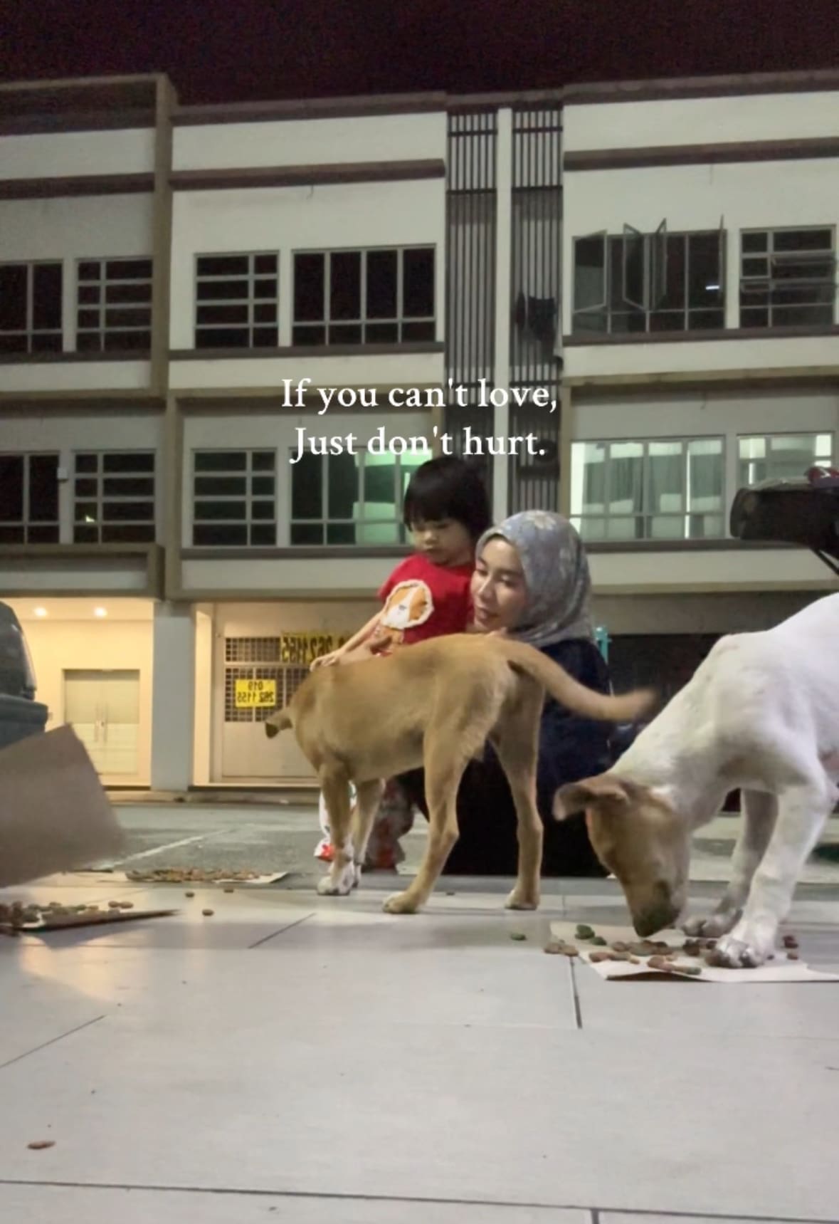 M’sian Family Feeds Stray Dogs With Daughter
