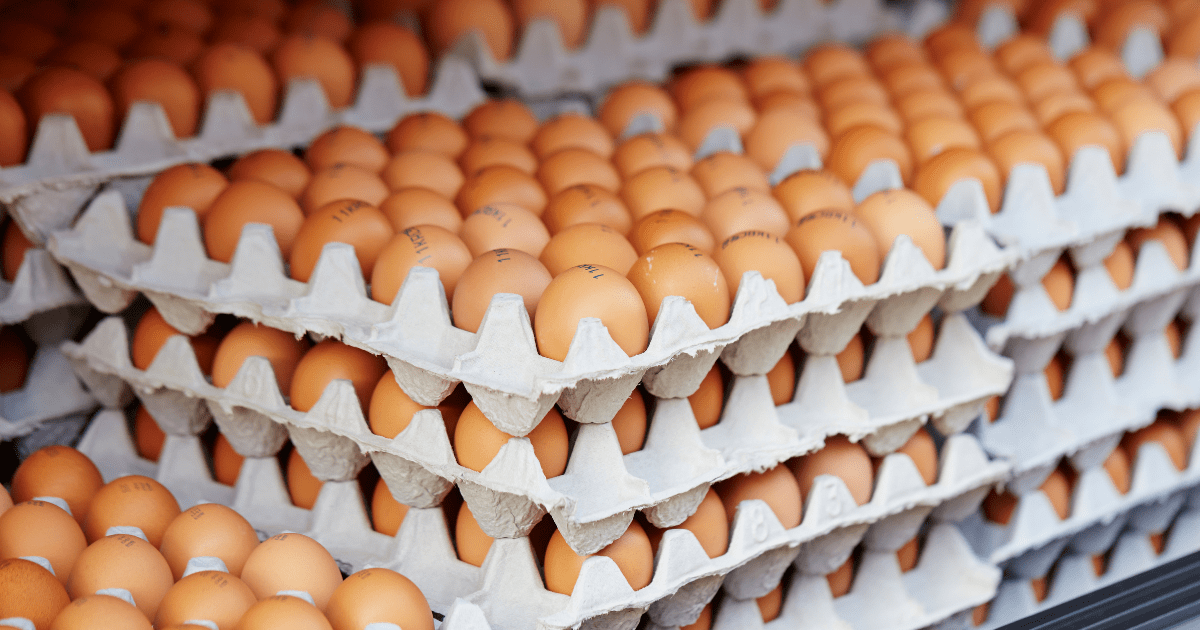 M’sian Gov’t To Introduce More Affordable ‘Special Grade Eggs’ As Part Of New Subsidy Restructuring