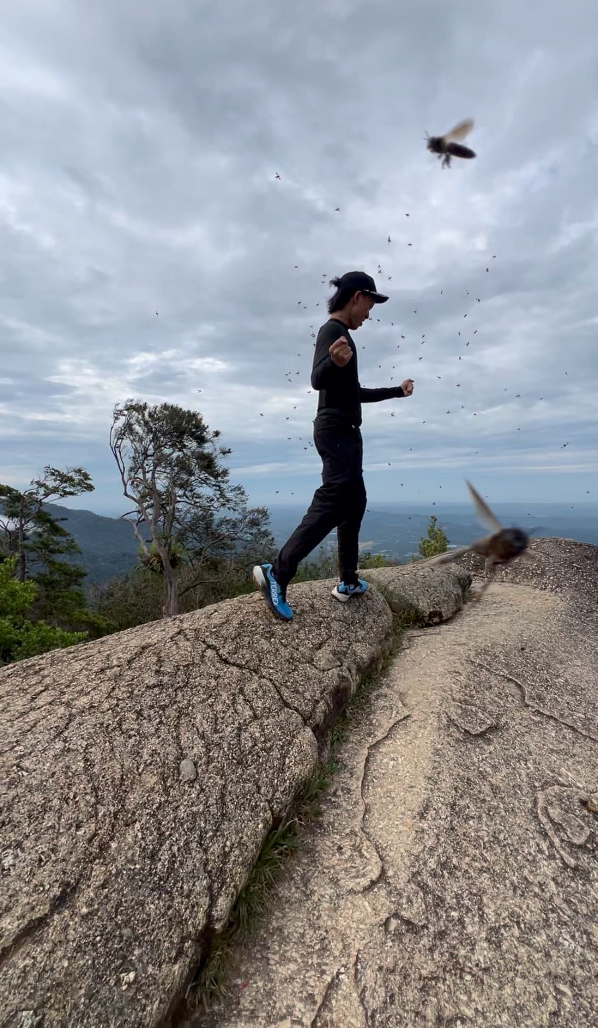 M’sian Hikers Choose Laughter Over Panic When Swarmed By Bees At The Peak