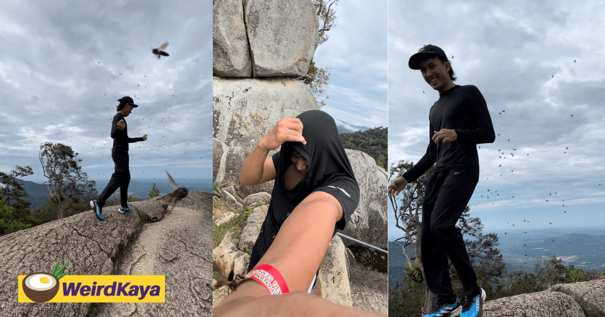 M’sian Hikers Choose Laughter Over Panic When Swarmed By Bees At The Peak