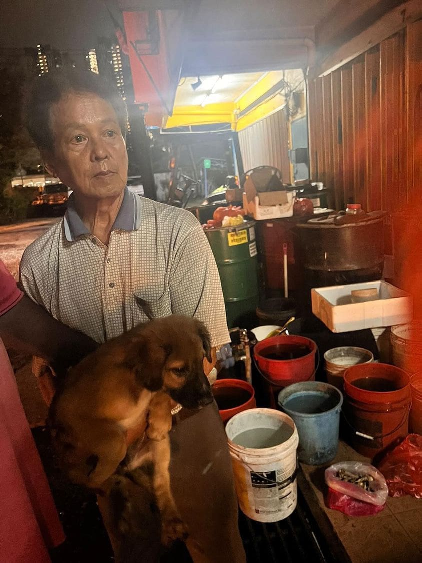 M’sian Man Assaulted While Trying To Save Dogs From Being Captured By MBPJ Officers