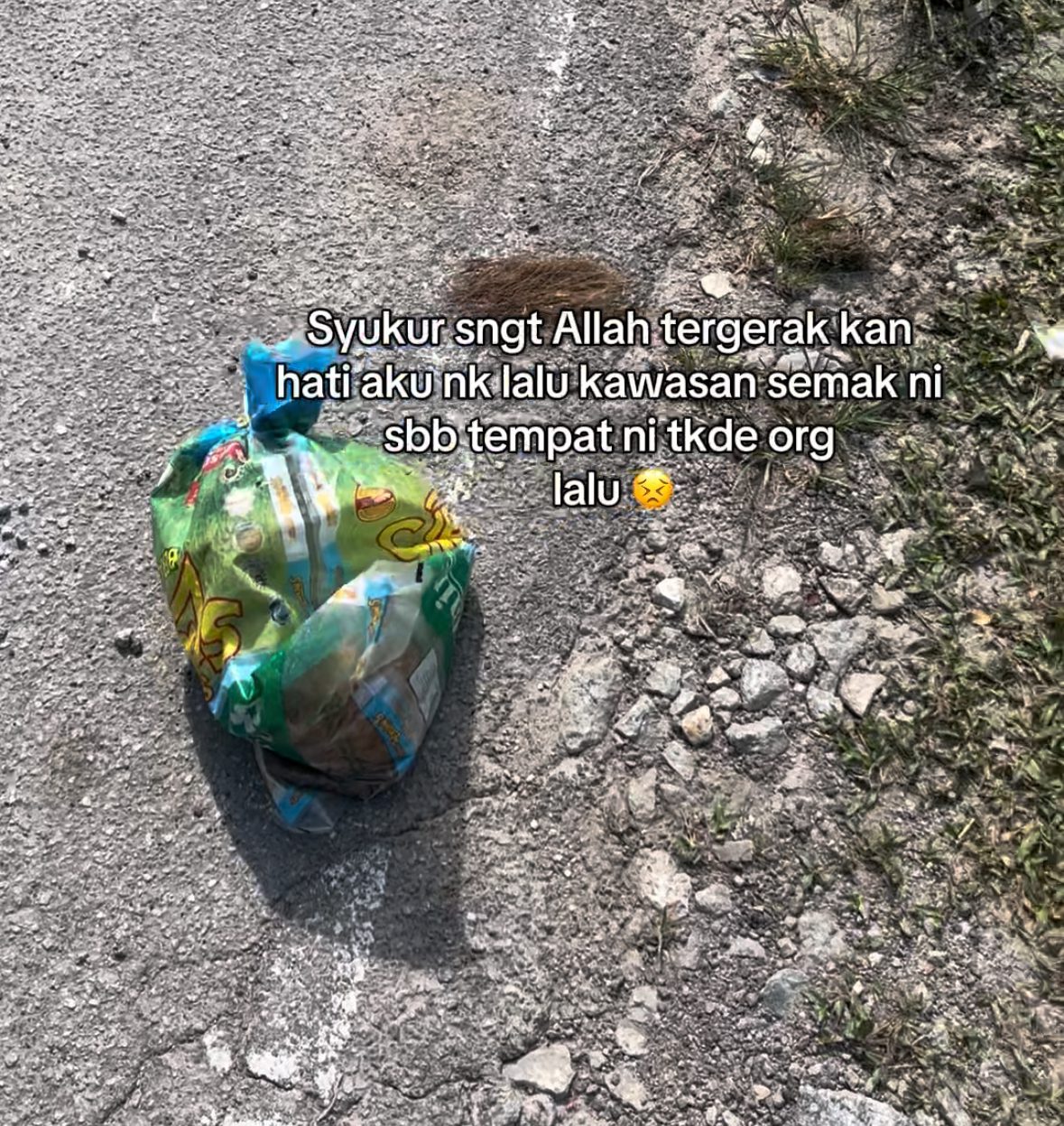M’sian Man Finds Starving Cat Stuffed In Rice Sack, Left To Die By The Roadside