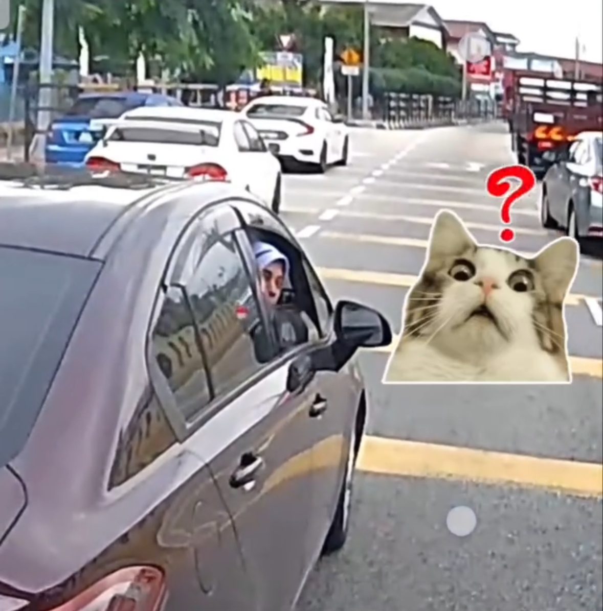 M’sian Nurse Double Parks In Front Of School, Responds With Middle Finger When Told to Move