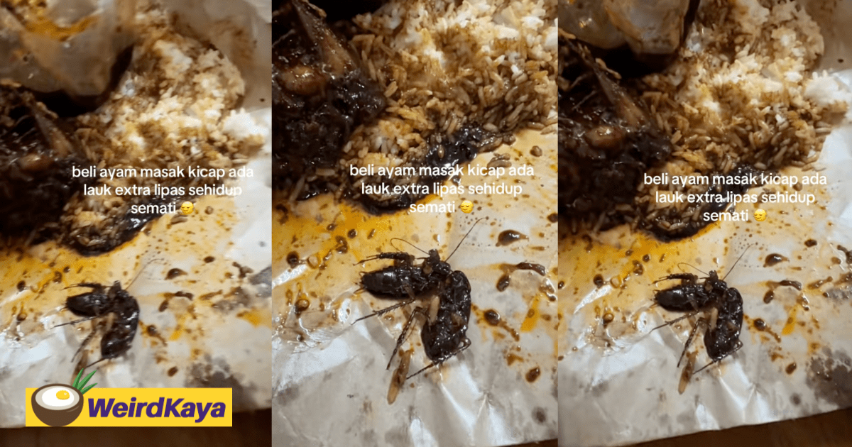 M’sian Woman Finds Not 1, But 2 Cockroaches Inside Nasi Kicap
