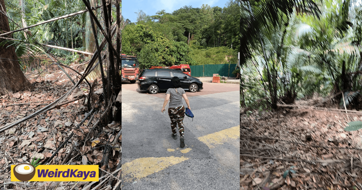 M’sian Woman Hikes Alone At Wawasan Hill, Gets Lost For 5 Hours & Claims To See Mysterious “Uncle”