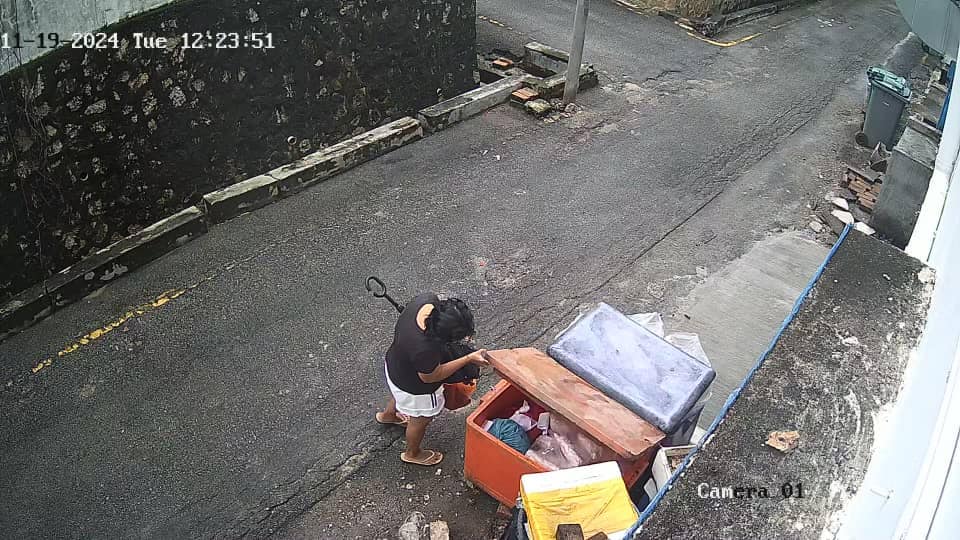 M'sian woman sees what's inside icebox